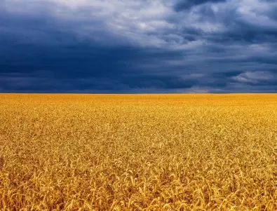 Нещо странно става с украинското зърно. Ето как се пренася