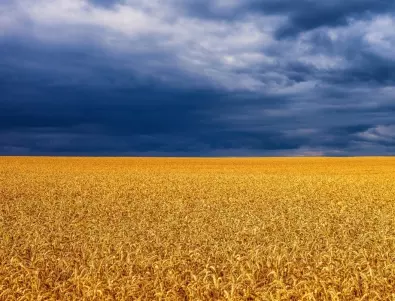 Румъния обяви спешна подкрепа за фермерите, засегнати от войната в Украйна