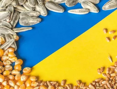 ЕС търси нови маршрути за украинското зърно