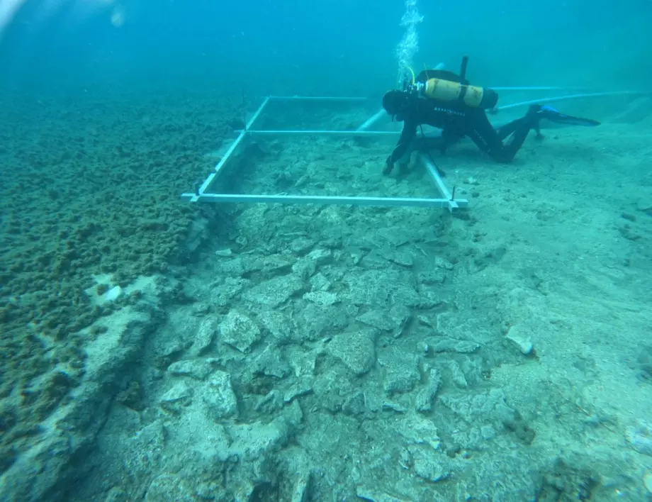 Път на 7000 години е открит на дъното на Адриатическо море (ВИДЕО)