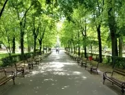 Община Бургас ремонтира и освежава стотици пейки