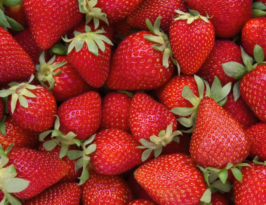 Ако искате здрави, едри и сладки ягоди, винаги правете ето това