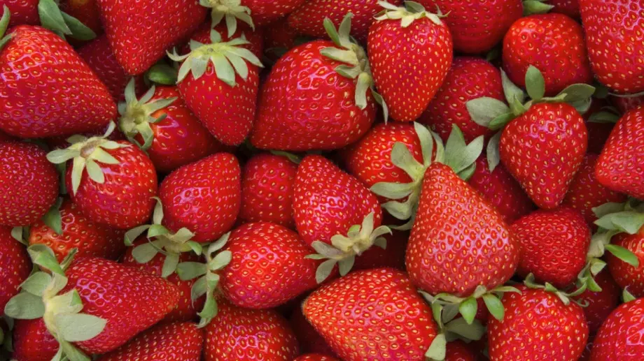Билката, благодарение на която ягодите ще са едри и сладки без капчица химия