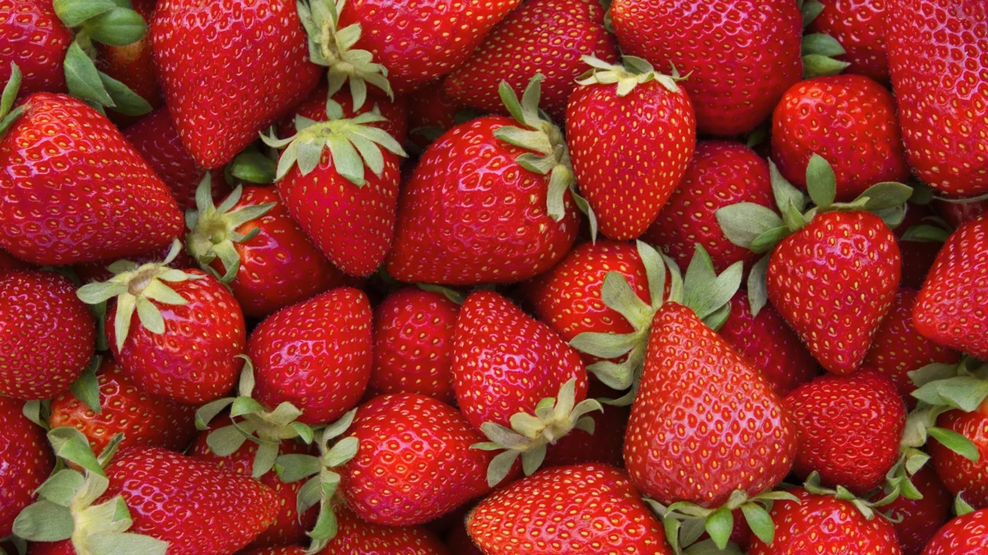 Кога е най-добре да се садят ягоди?
