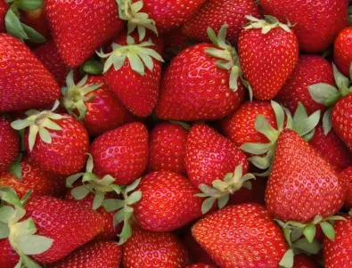 Пресаждане на ягоди през пролетта - кои са най-добрите дати
