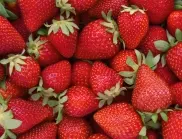 Поливане на ягодите - ето какво трябва да знае всеки градинар