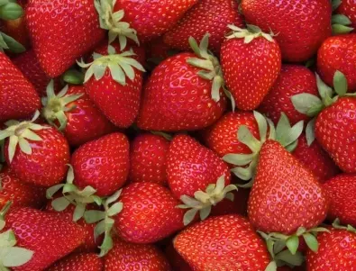 Какви са най-честите грешки при торене на ягодите?