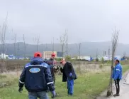 Община Елин Пелин ще засади 1 000 дръвчета