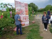 Първият ритуал "Розобер" стартира в село до Казанлък