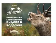 Кампанията “Призив” дари 20 000 лв. на фондация “По-диви Родопи”  в подкрепа на застрашените видове животни