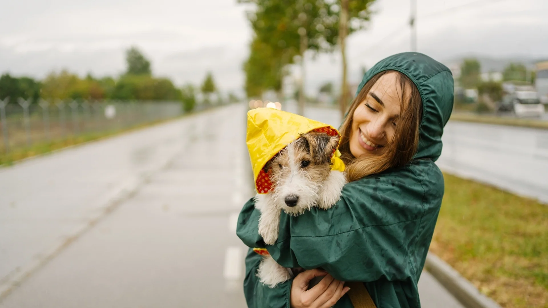 Прогноза за времето - 28 ноември 2023 г. (вторник)