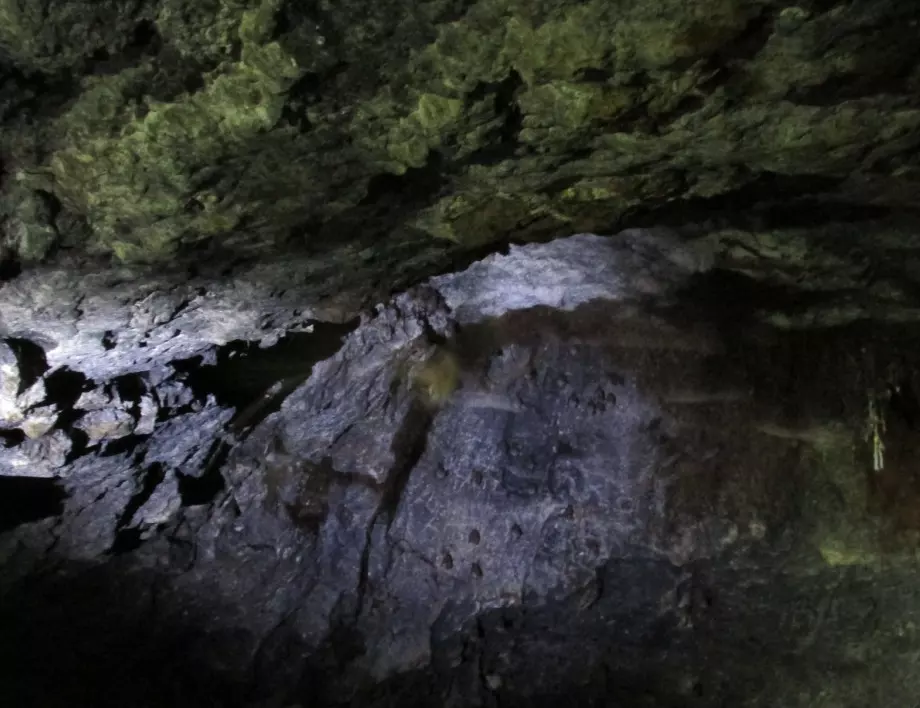 Доброволци почистиха пещерата "Дупката" в Ивайловград