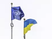 Рискува ли НАТО бъдещето си заради приемането на Украйна?