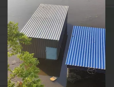 Водата от язовир Каховка изкара на улиците бобри в наводнените селища (ВИДЕО)
