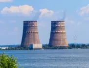 "Грийнпийс" попиля МААЕ заради ядрената безопасност в АЕЦ "Запорожие"