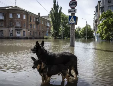 Къде са властите? Руснаци викнали поп да спасява язовирната стена в наводнения Орск (ВИДЕО)