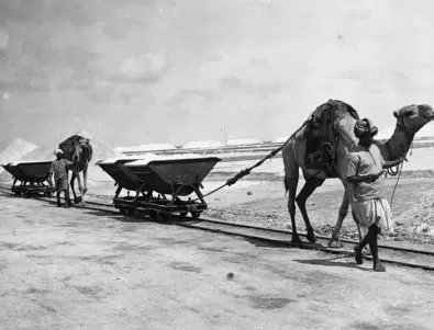 Копачите на сол в Сахара се борят да запазят вековния си занаят (ВИДЕО)
