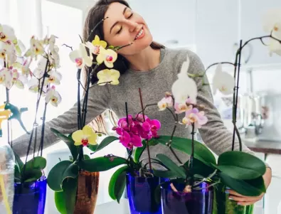Как да накарате орхидеята да цъфти - 2 домашни тора
