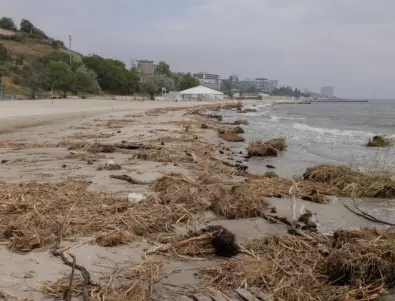 Южният вятър предпазва Черноморието ни от замърсяване засега