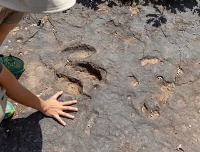 В Чили откриха останки от тревопасен динозавър 