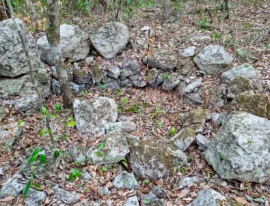 Изгубен древен град на маите е открит дълбоко в джунглите на Мексико