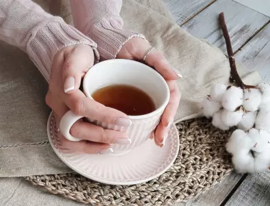 Откриха опасна за здравето съставка в чай с мента от Сърбия