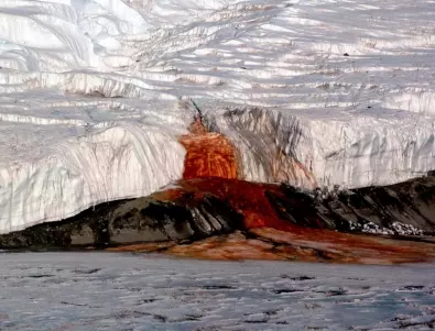 Разкриха мистерията на Кървавия водопад на Антарктида