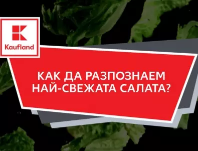 Kaufland: Българската къдрава маруля е най-предпочитана от всички зелени салати