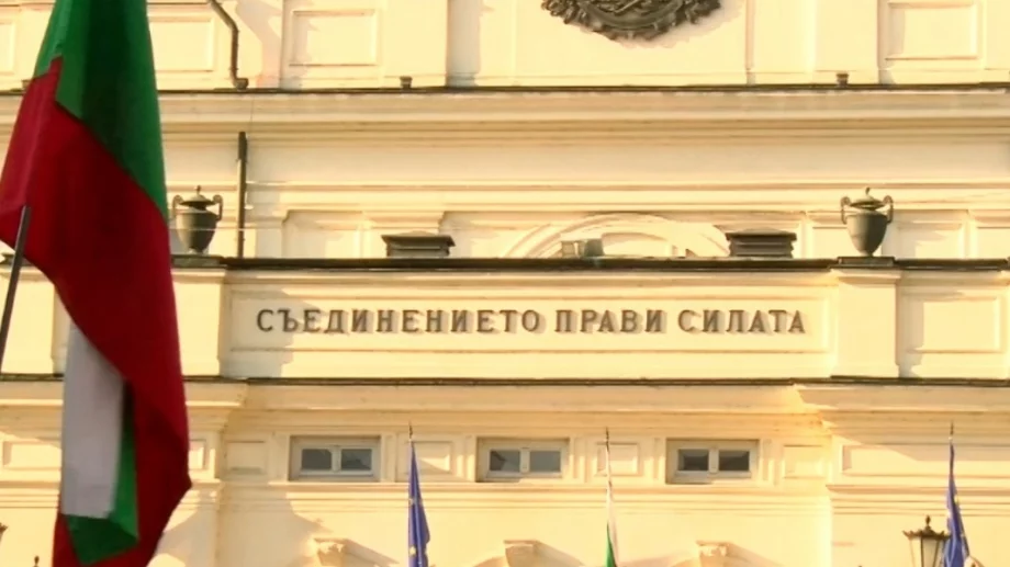 Коментар №2 на седмицата: Ротация, измет, ДНК тест: Речник на най-новите политически фрази 