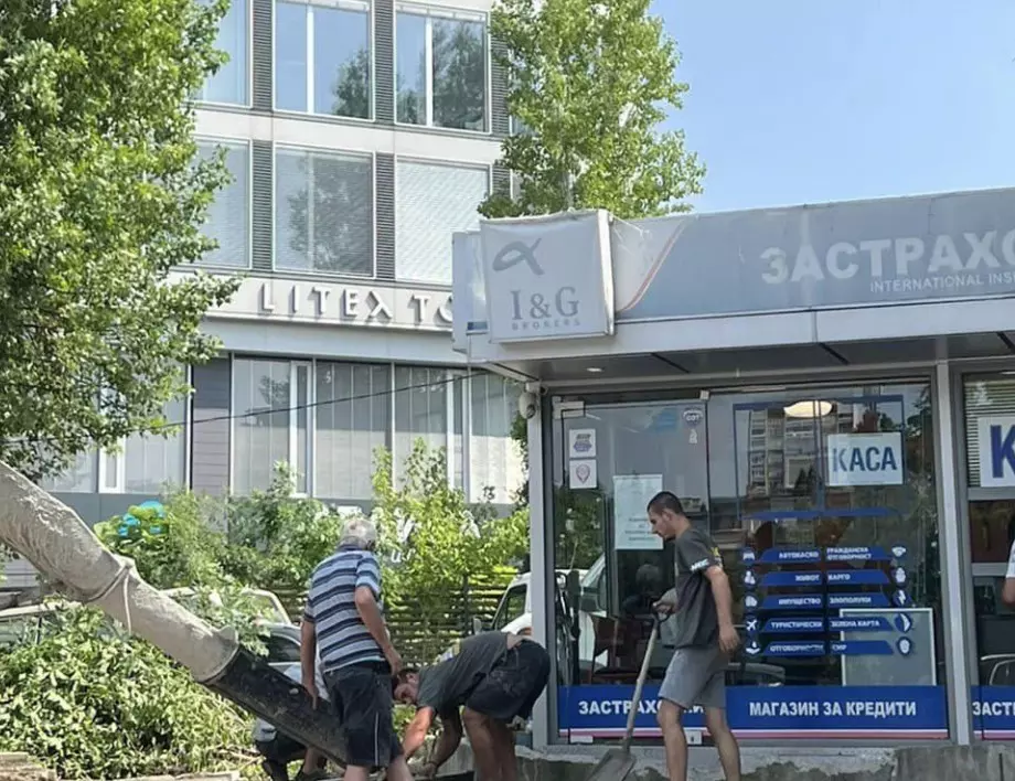 "Наглост": Една от съборените будки пред КАТ-София изникна отново - пак незаконно