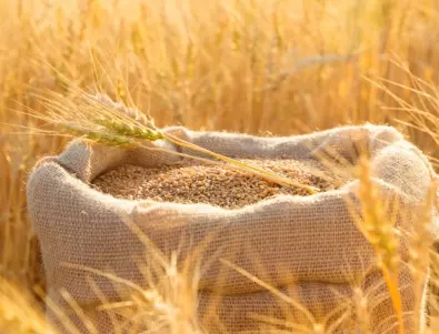 България и още 4 страни искат удължаване на забраната за внос на украинско зърно