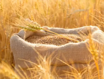 Краят на зърнената сделка - какво означава това за света 