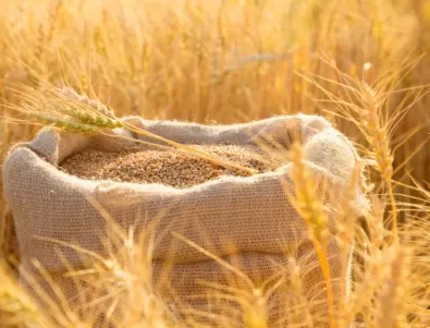 Русия и още две държави сключват ново споразумение за износ на зърно