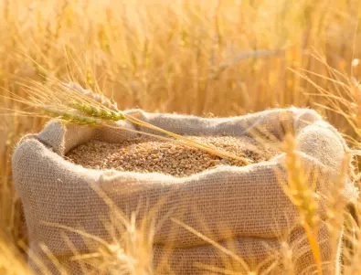 Земеделският министър предупреди, че решението за вноса на пшеница от Украйна ще повиши напрежението в сектора 