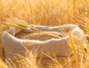 Украйна готова да създаде зърнен хъб в Кения 