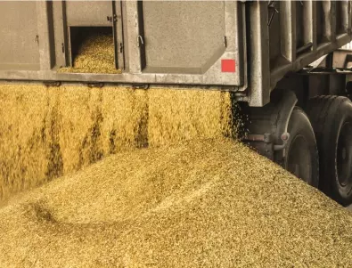 Украйна насочва износа на зърно към дунавските си пристанища