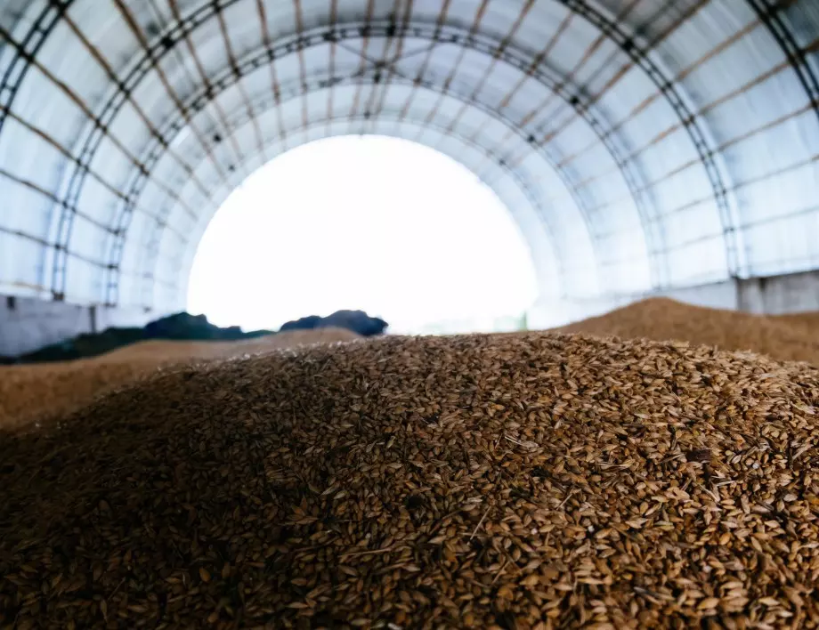 ЕС предупреди: Русия опитва да създаде зависимости чрез евтино зърно