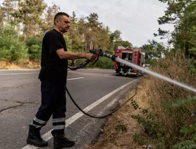 Огнеборци гасят голям пожар в община Тополовград