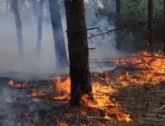 Заради пожар - бедствено положение на територията на Община Ивайловград
