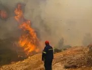 Доклади: Димът от горски пожари е опасен и става все по-голям дял от мръсния въздух