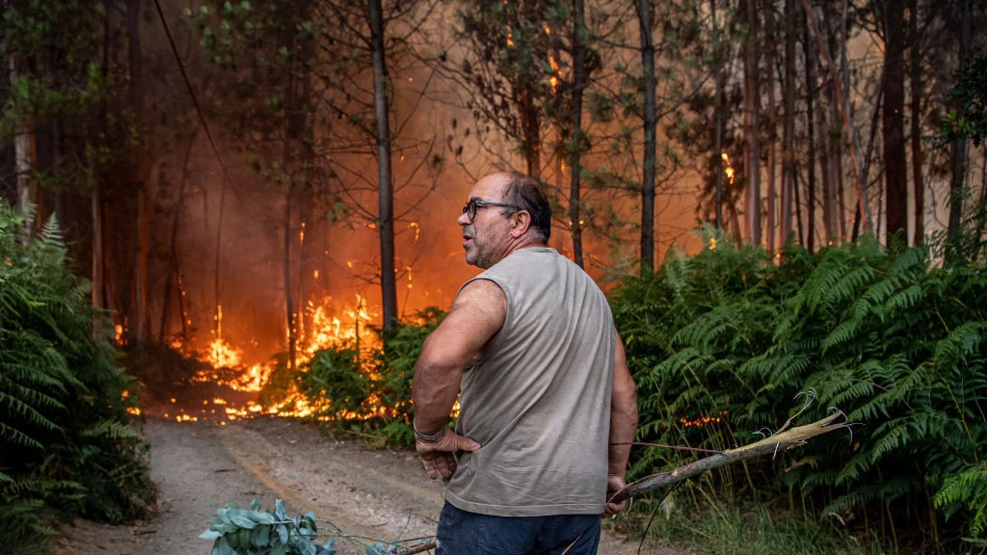 Горските пожари в Чили: Вече има жертви (ВИДЕО)