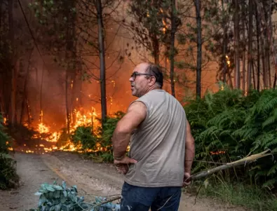 Горските пожари в Чили: Вече има жертви (ВИДЕО)