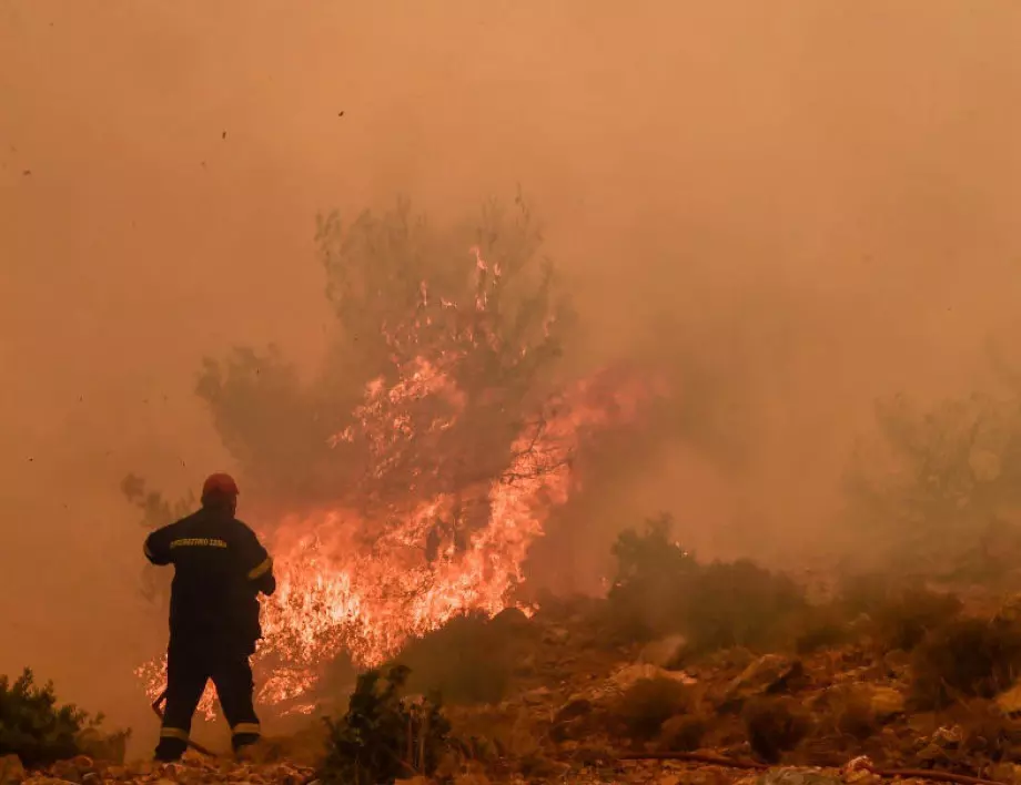 Пожар се разрази в Национален парк "Пирин"