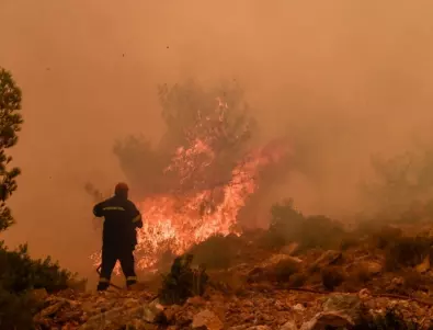 Министър твърди, че пожарите в Гърция са причинени от човешка ръка