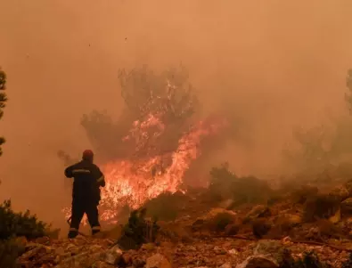 Венецуела се бори срещу горските пожари