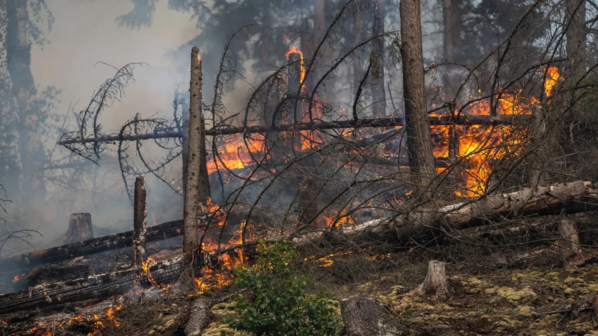 Расте броят на жертвите на горските пожари в Чили