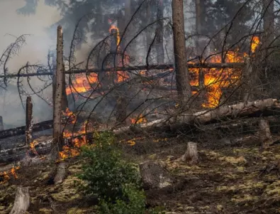 Расте броят на жертвите на горските пожари в Чили
