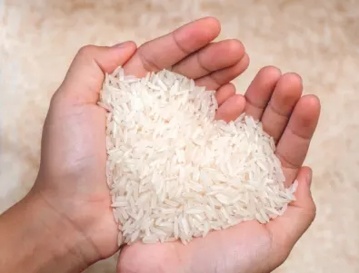 Тревожни новини: Недостигът на ориз вдига цените по целия свят, а най-лошото предстои