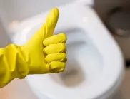 Най-бързото почистване на тоалетна чиния - само за мързеливи домакини