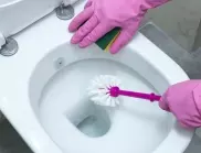Това е най-бързото почистване на тоалетна чиния – за броени минути ще светне